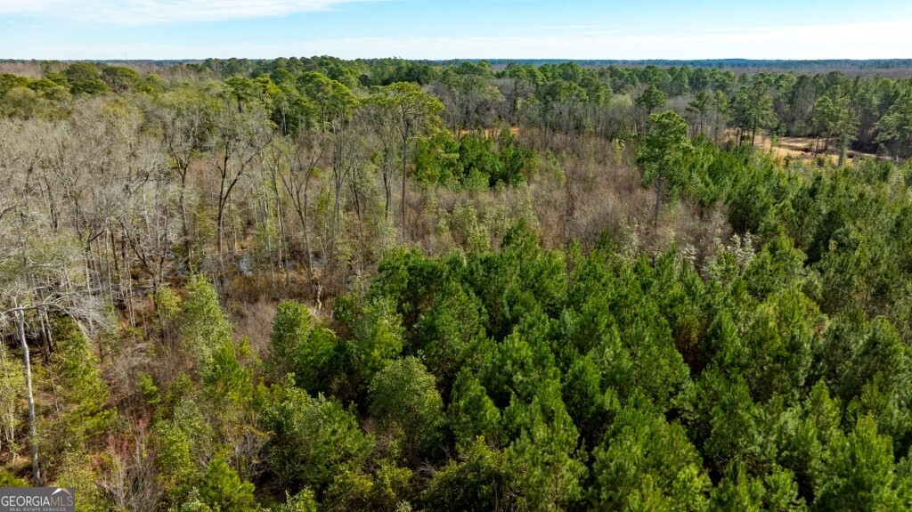 -riggs Mill La Riggs Mill Statesboro, GA 30458 - Photo 23 of 27 a view of a lake in middle of forest