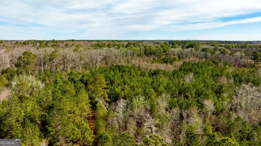 -riggs Mill La Riggs Mill Statesboro, GA 30458 - Photo 24 of 27 a view of lake and mountain