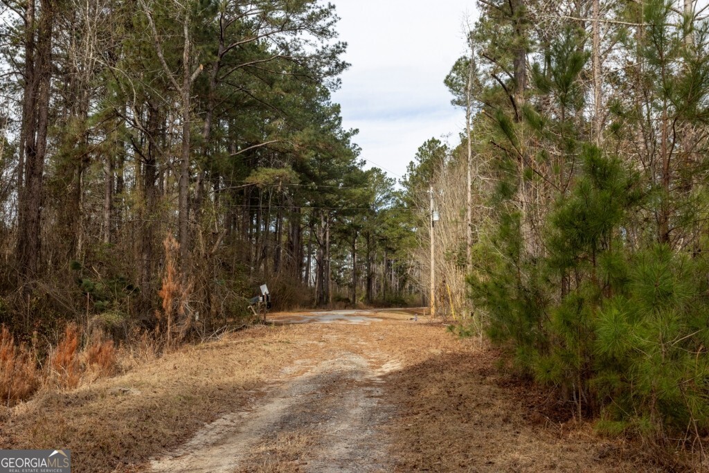 -riggs Mill La Riggs Mill Statesboro, GA 30458 - Photo 25 of 27 a view of outdoor space with trees
