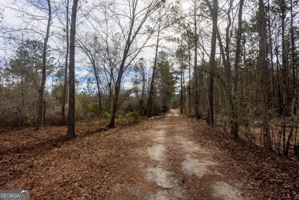 -riggs Mill La Riggs Mill Statesboro, GA 30458 - Photo 26 of 27 a view of outdoor space with trees