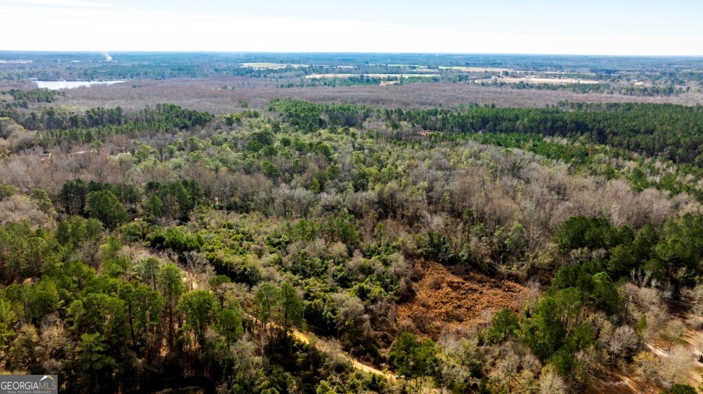 -riggs Mill La Riggs Mill Statesboro, GA 30458 - Photo 27 of 27 a view of a city with lush green forest