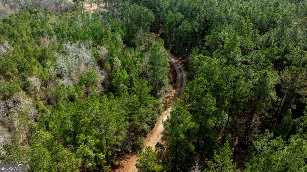 -riggs Mill La Riggs Mill Statesboro, GA 30458 - Photo 3 of 27 a view of a lush green forest with lots of trees