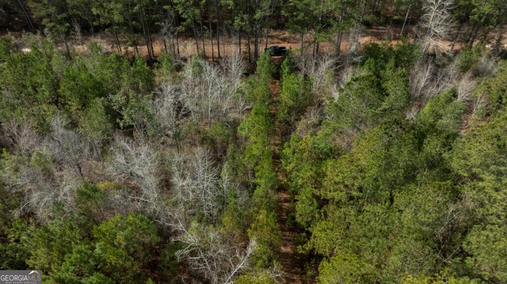 -riggs Mill La Riggs Mill Statesboro, GA 30458 - Photo 4 of 27 a view of a garden with a lake