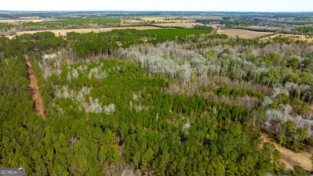 -riggs Mill La Riggs Mill Statesboro, GA 30458 - Photo 5 of 27 a view of lake with green space