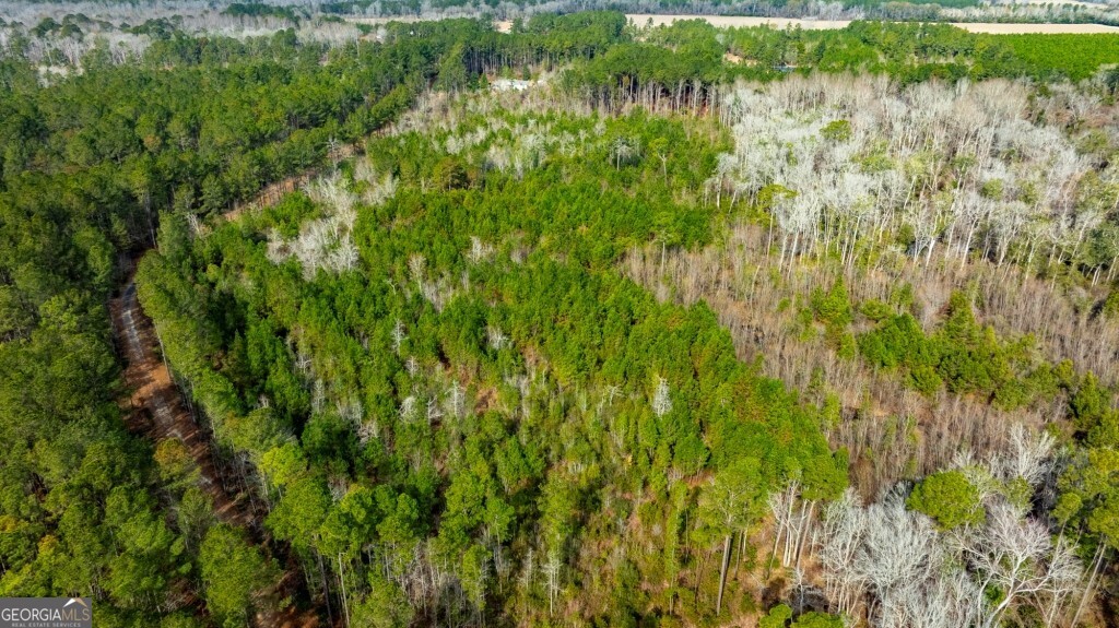 -riggs Mill La Riggs Mill Statesboro, GA 30458 - Photo 6 of 27 a view of a garden with a tree