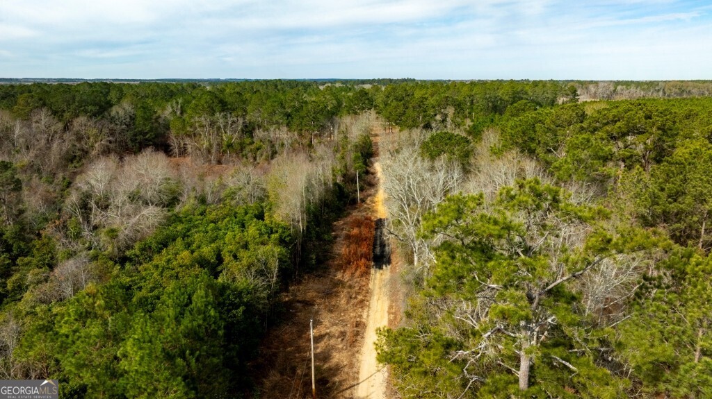 -riggs Mill La Riggs Mill Statesboro, GA 30458 - Photo 8 of 27 a view of a garden