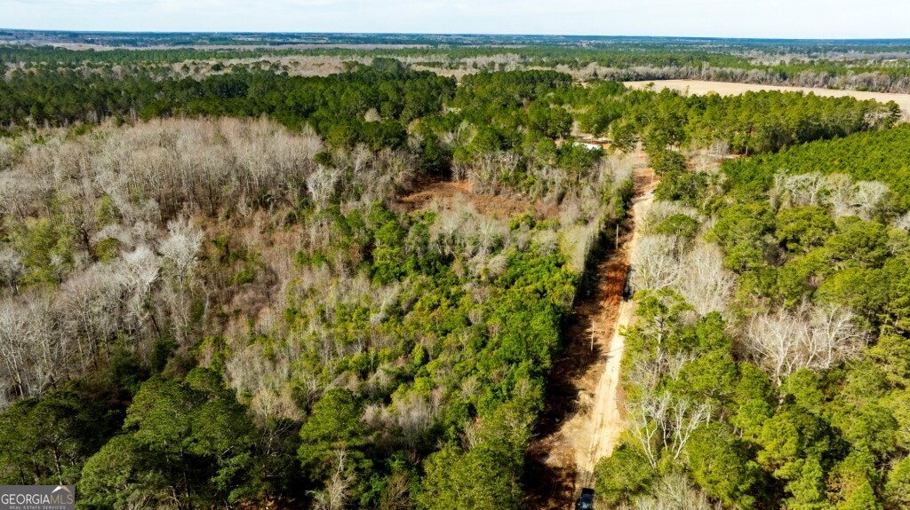 -riggs Mill La Riggs Mill Statesboro, GA 30458 - Photo 9 of 27 a view of lake with green space