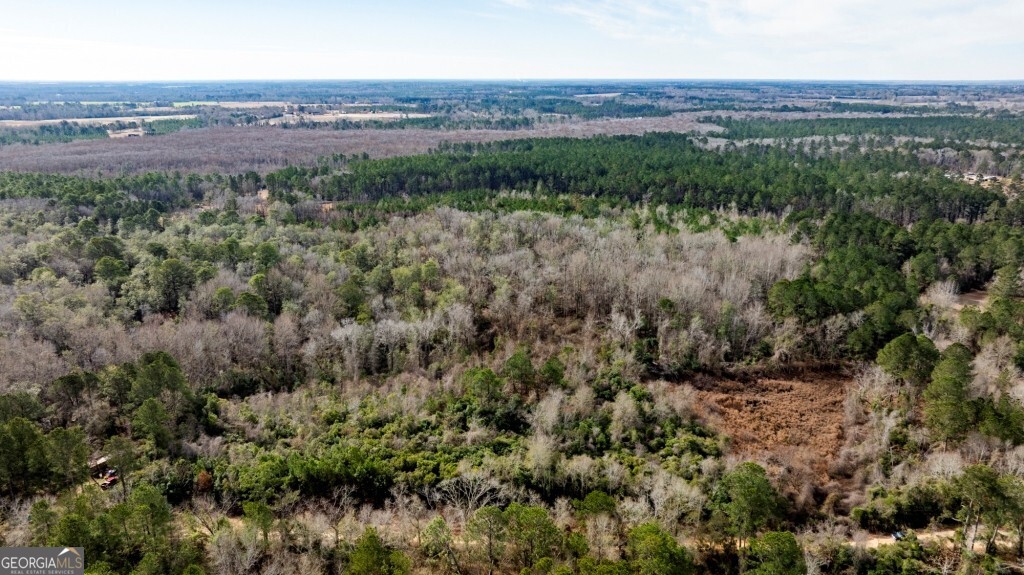 -riggs Mill La Riggs Mill Statesboro, GA 30458 - Photo 10 of 27 a view of a city