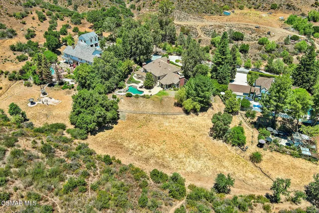 a view of a garden with plants