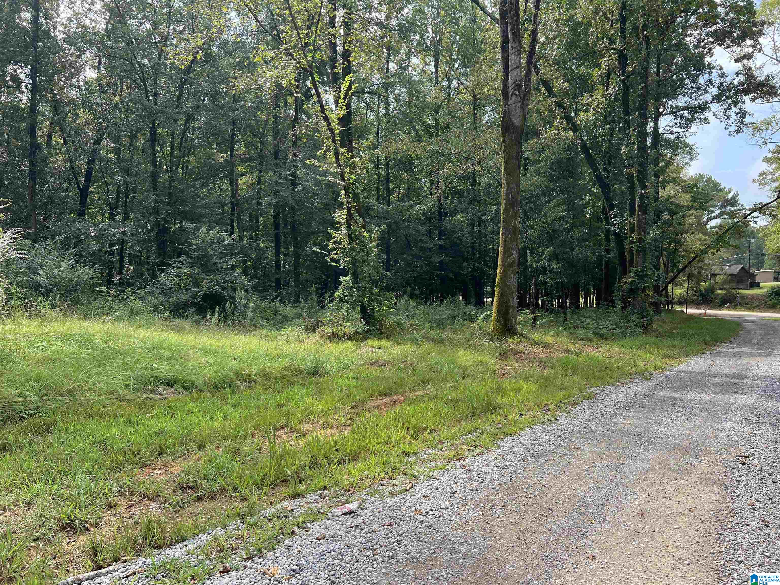 58 Rustic Oaks Drive Sterrett, AL 35147 - Photo 29 of 30