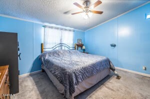 1816 Cook Mill Road New Market, TN 37820 - Photo 6 of 58 Gallery Image 6