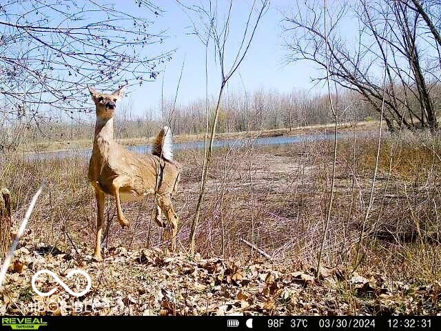0 North Gray Road Mooresville, IN 46158 - Photo 21 of 49
