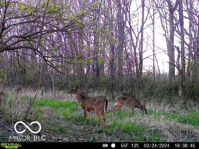 0 North Gray Road Mooresville, IN 46158 - Photo 22 of 49