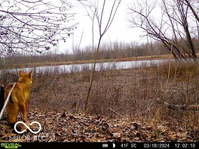 0 North Gray Road Mooresville, IN 46158 - Photo 26 of 49
