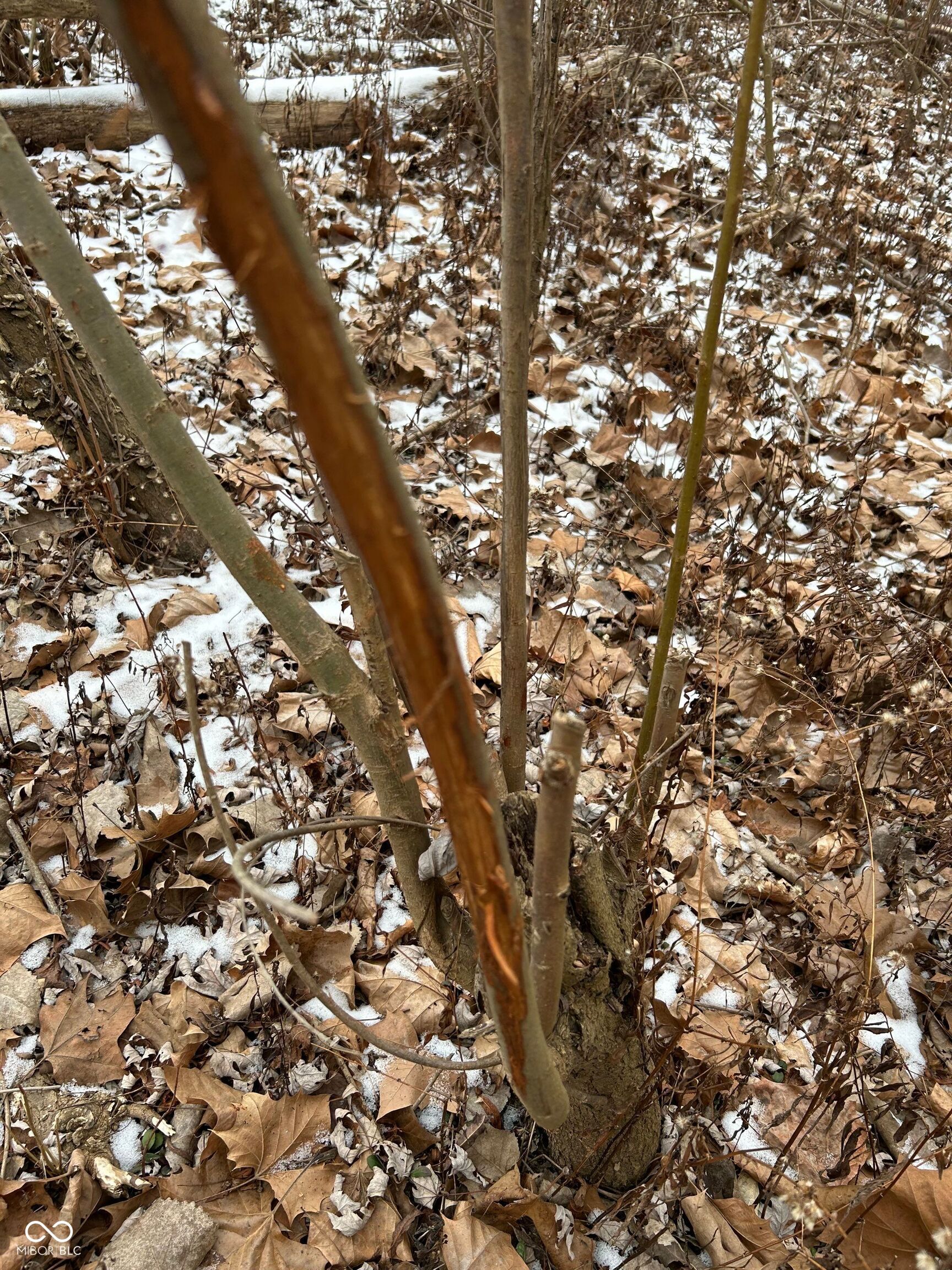 0 North Gray Road Mooresville, IN 46158 - Photo 29 of 49