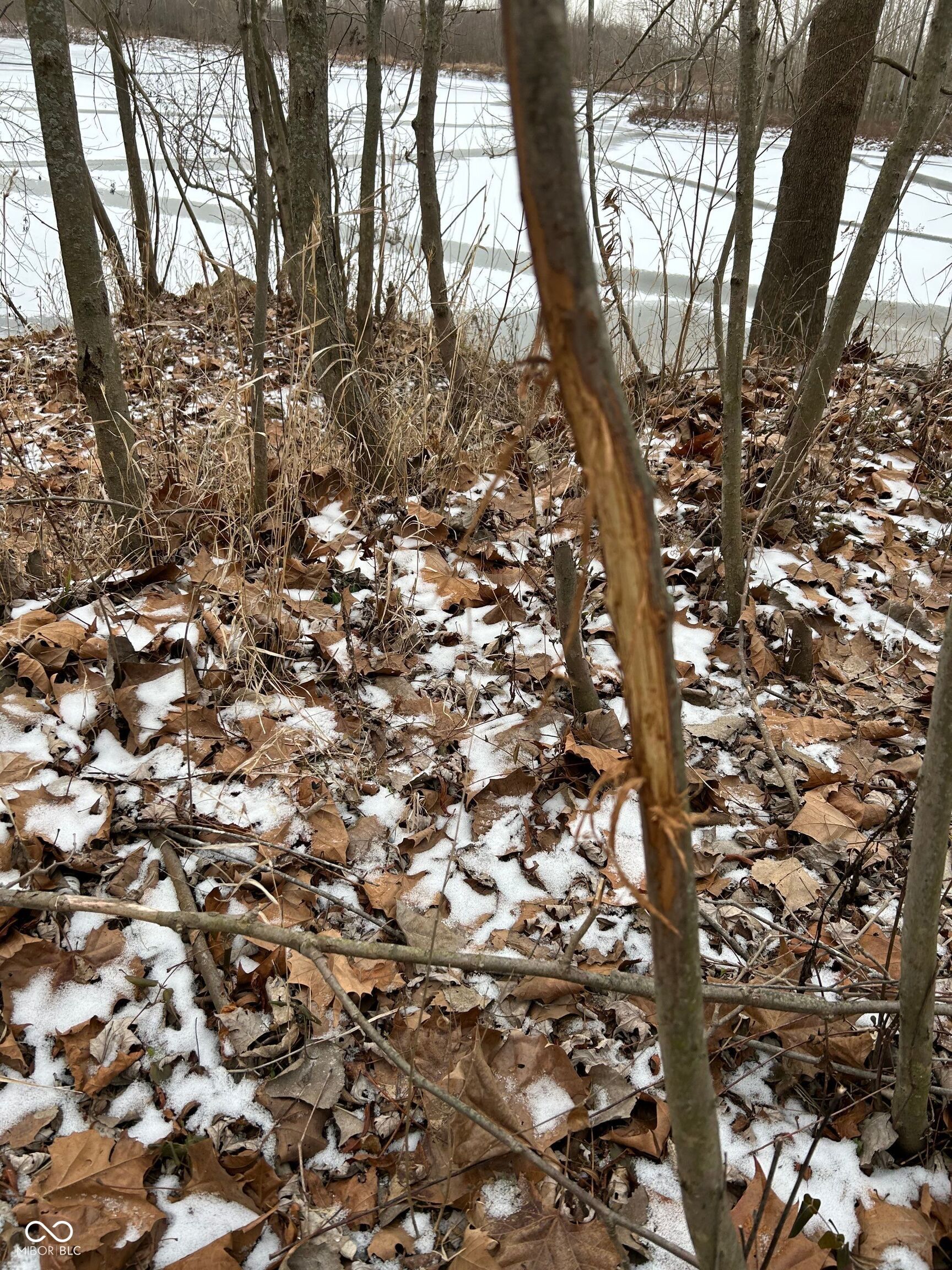 0 North Gray Road Mooresville, IN 46158 - Photo 32 of 49