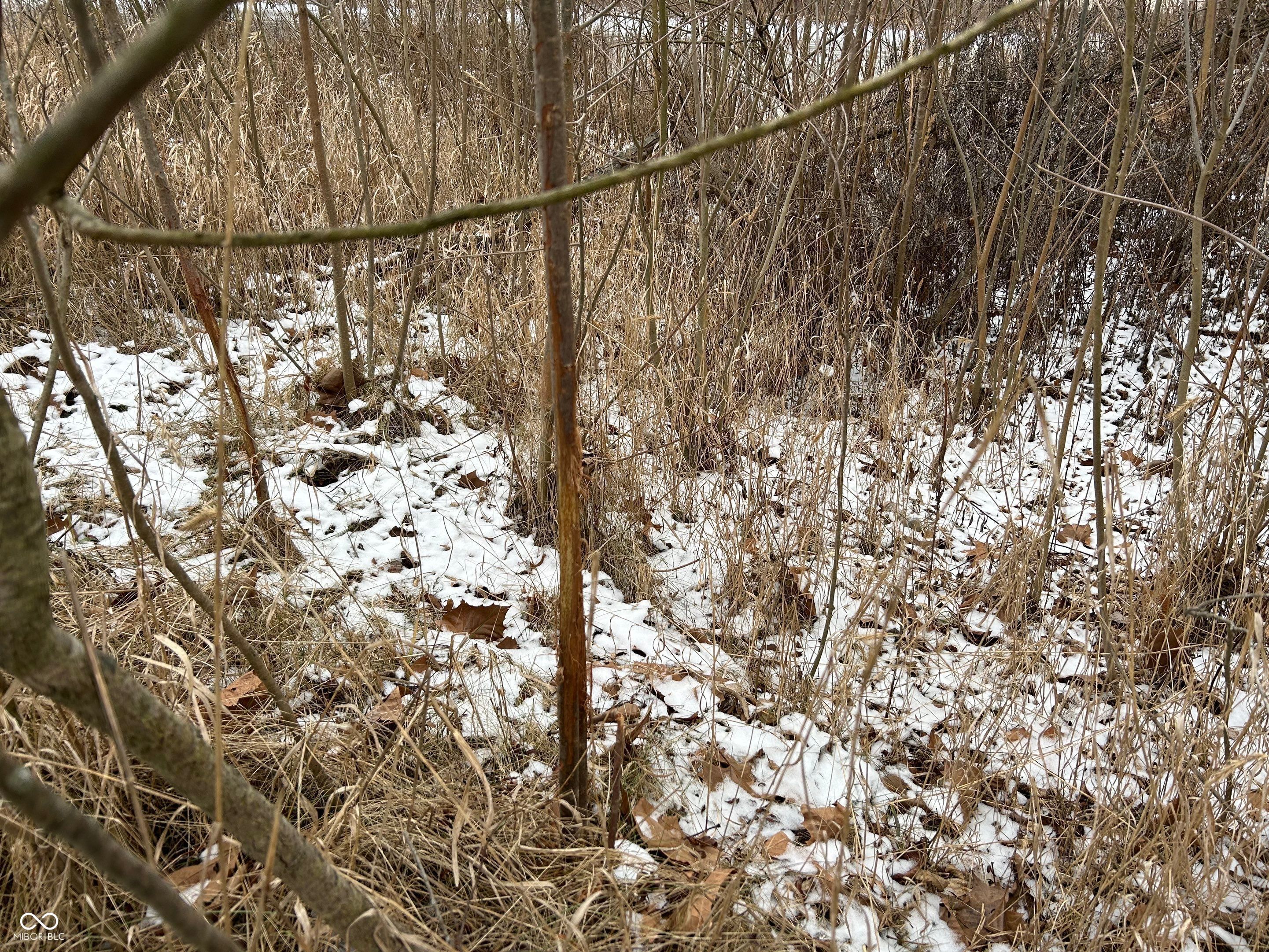 0 North Gray Road Mooresville, IN 46158 - Photo 33 of 49