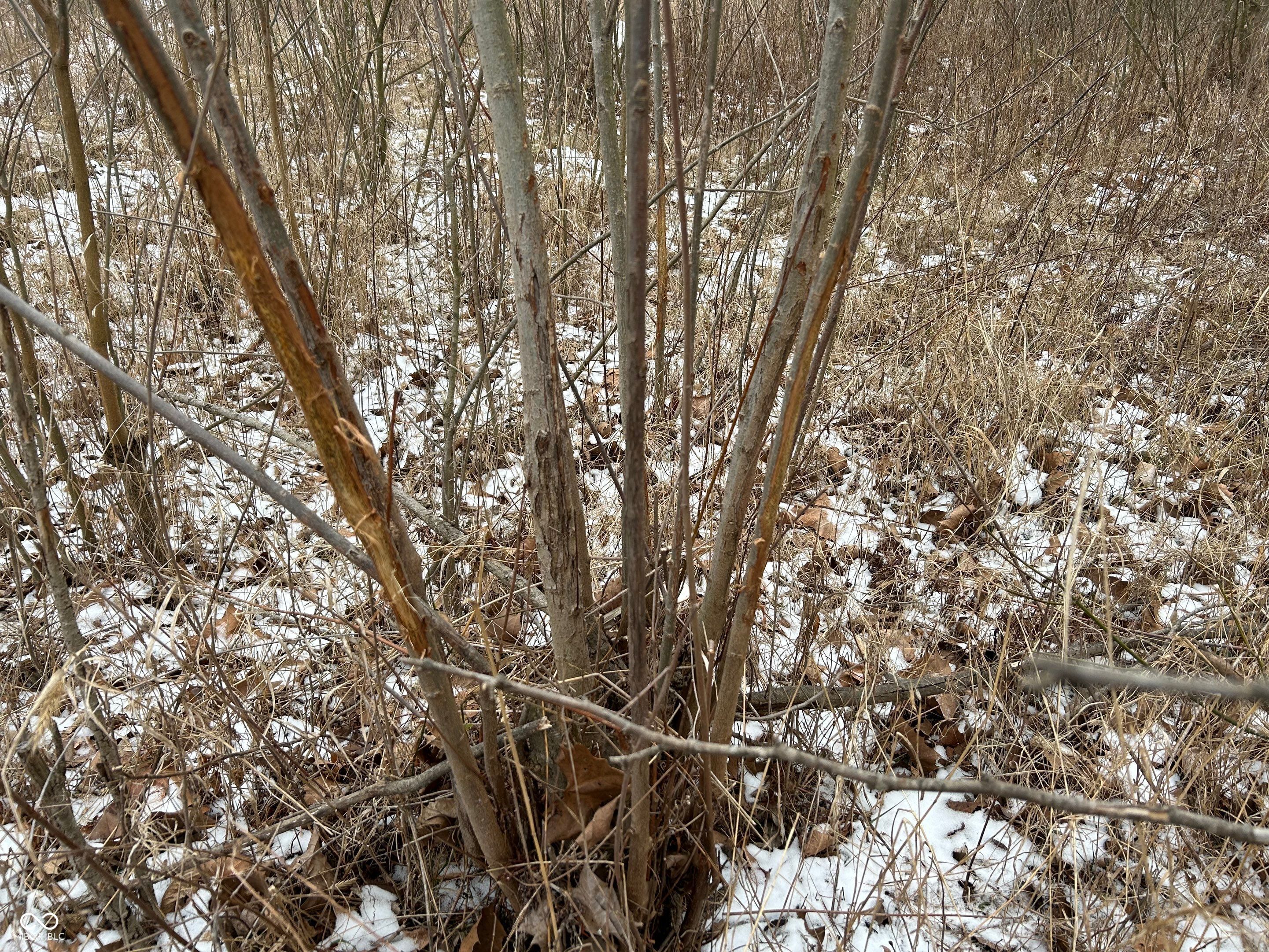 0 North Gray Road Mooresville, IN 46158 - Photo 34 of 49