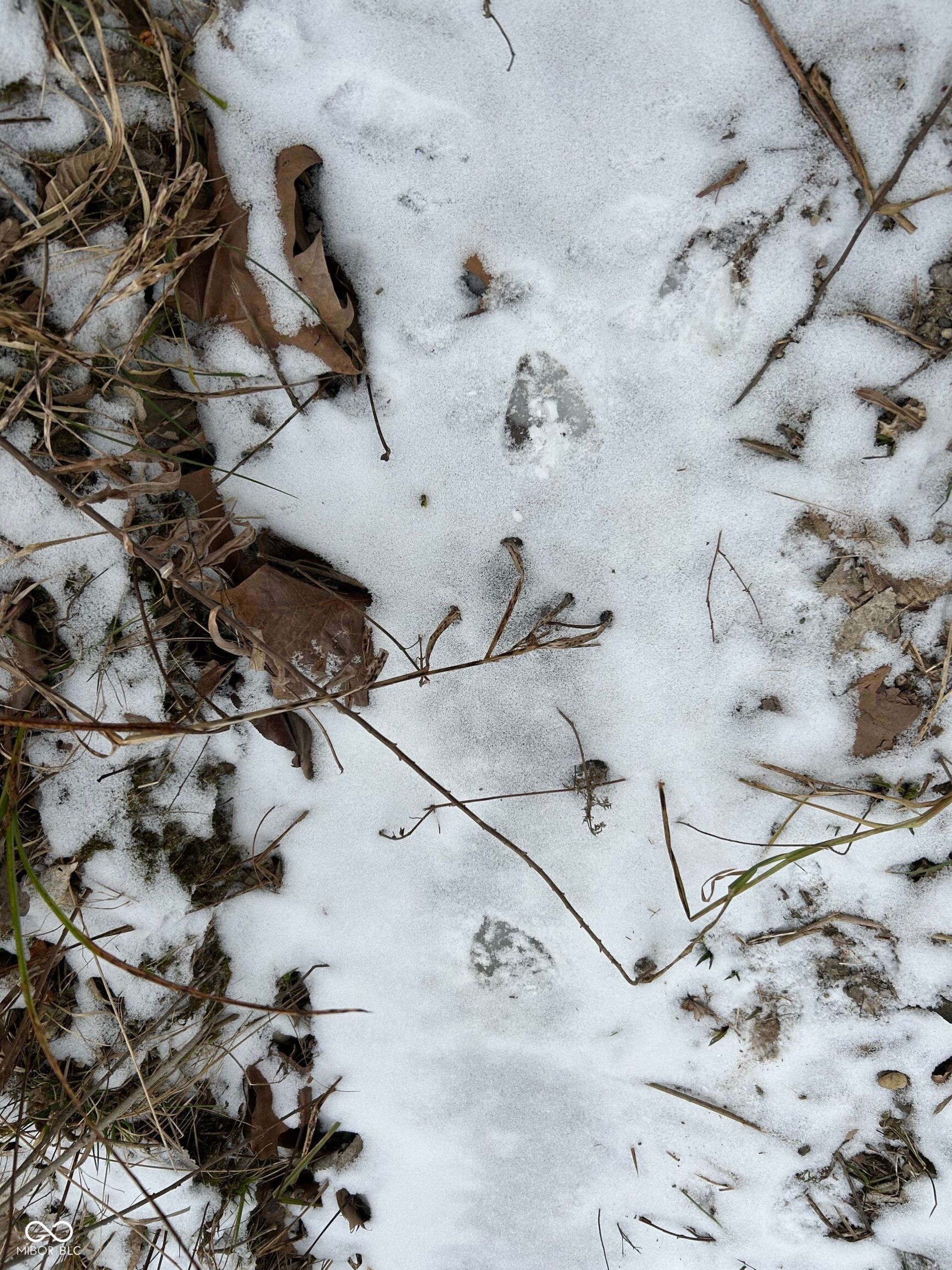 0 North Gray Road Mooresville, IN 46158 - Photo 43 of 49