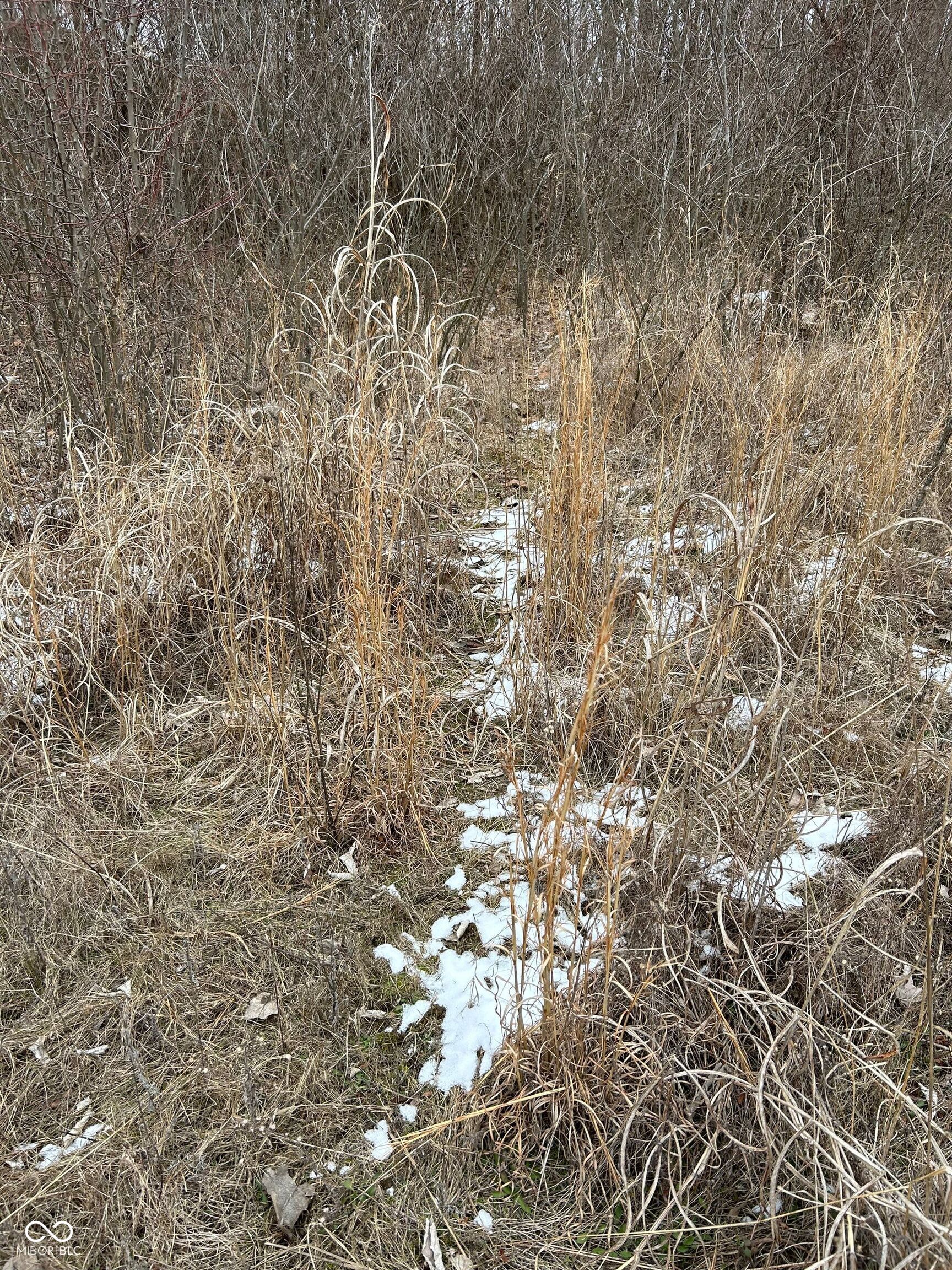 0 North Gray Road Mooresville, IN 46158 - Photo 44 of 49