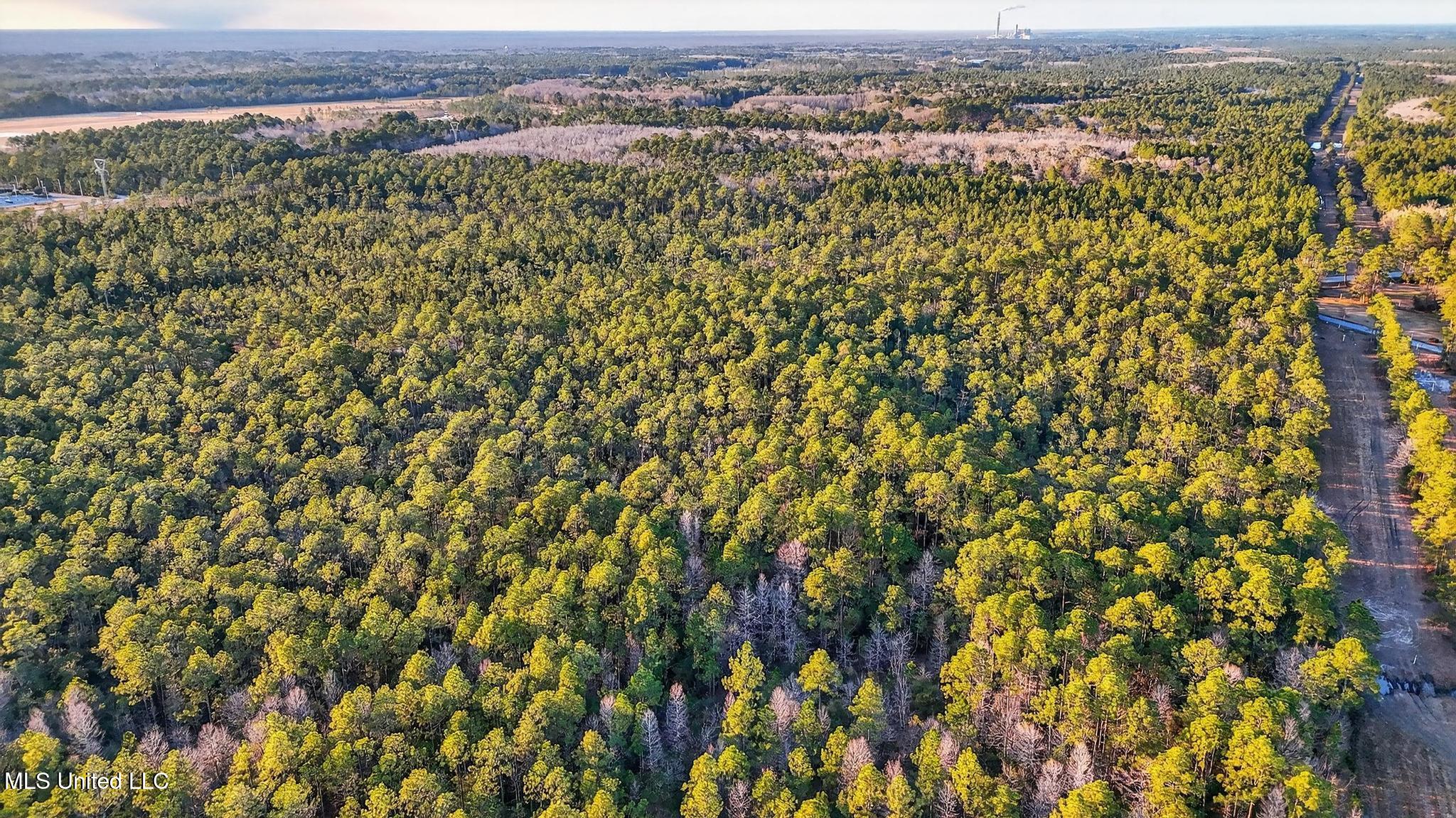 Saracennia Point Moss Point, MS 39563 - Photo 4 of 17 moss point -35