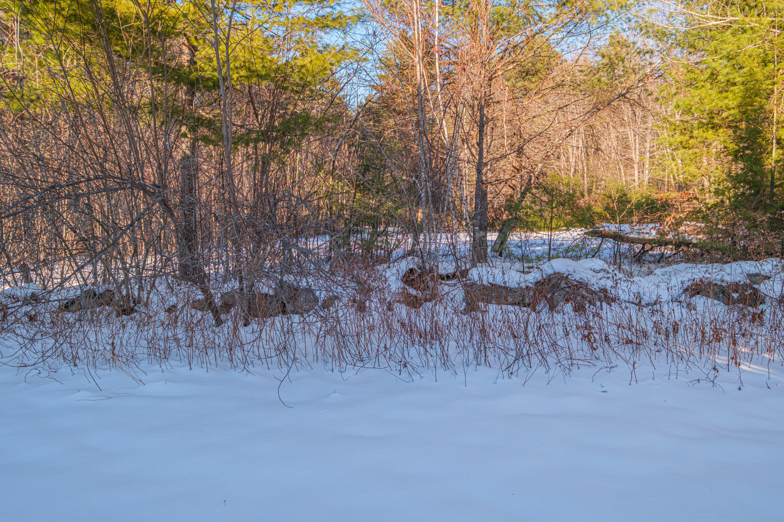 15 Rocky Knoll Road Denmark, ME 04022 - Photo 78 of 120 20251216gp-61081