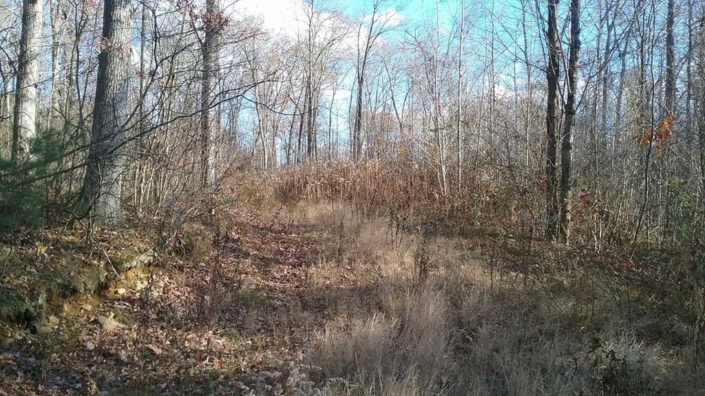 23 North Brookfield Road Brookfield, MA 01506 - Photo 3 of 10 Gallery Image 3