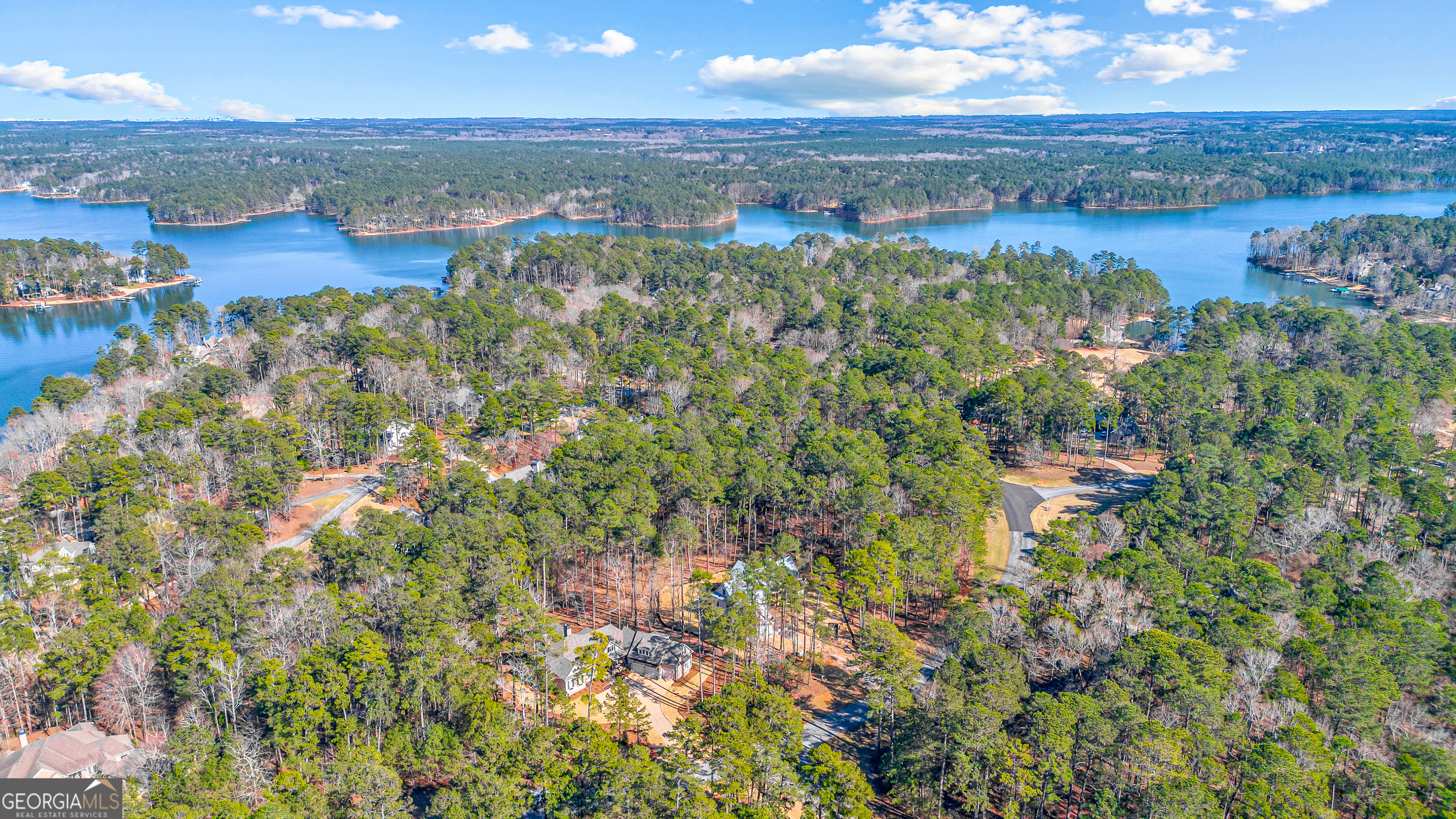 1040 Parrotts Cove Road Greensboro, GA 30642 - Photo 6 of 57