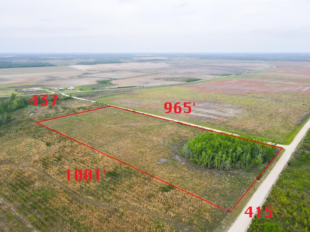 40 Davis Peacock Road Wewahitchka, FL 32449 - Photo 8 of 22