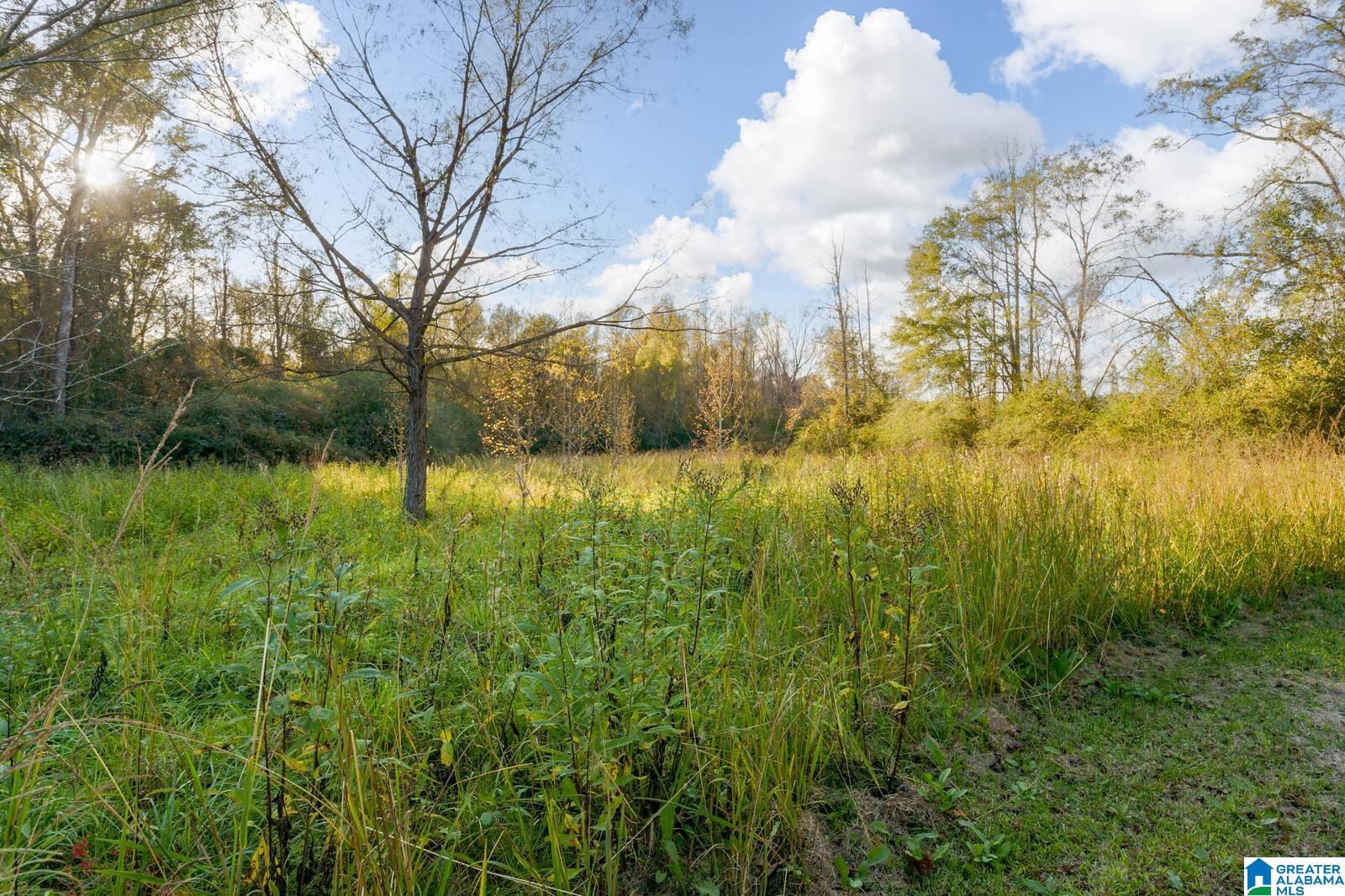386 Dairy Farm Road Moundville, AL 35474 - Photo 24 of 29