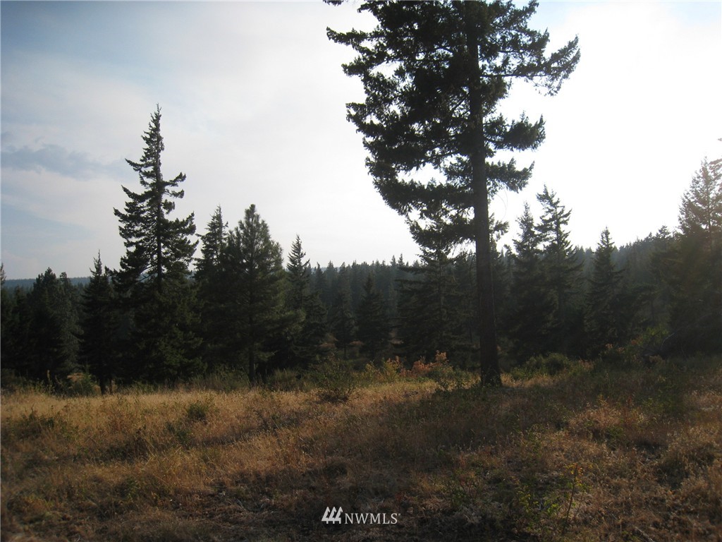 4 Upper Peoh Point Road Cle Elum, WA 98922 - Photo 8 of 12 Gallery Image 8