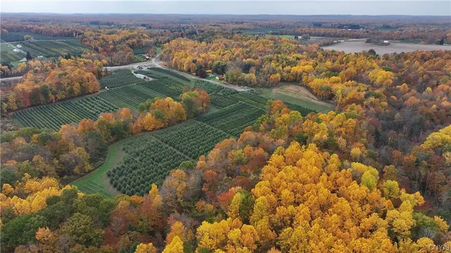 $985,000 | 0 Norris & Rt 104 Road, North Rose, NY 14516