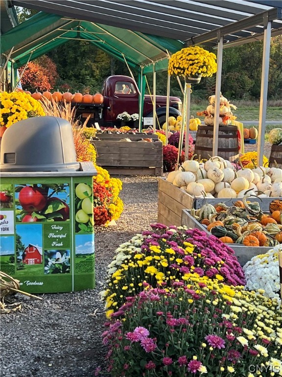 0 Norris & Rt 104 Road North Rose, NY 14516 - Photo 16 of 35