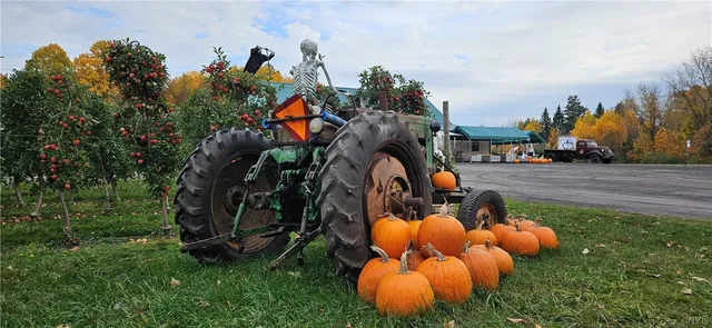 $985,000 | 0 Norris & Rt 104 Road, North Rose, NY 14516