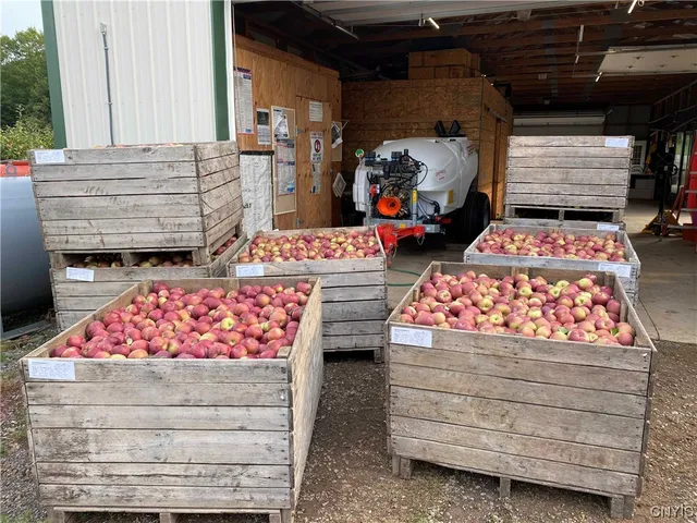 $985,000 | 0 Norris & Rt 104 Road, North Rose, NY 14516