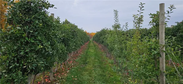 $985,000 | 0 Norris & Rt 104 Road, North Rose, NY 14516