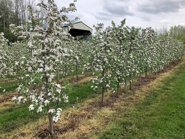 $985,000 | 0 Norris & Rt 104 Road, North Rose, NY 14516