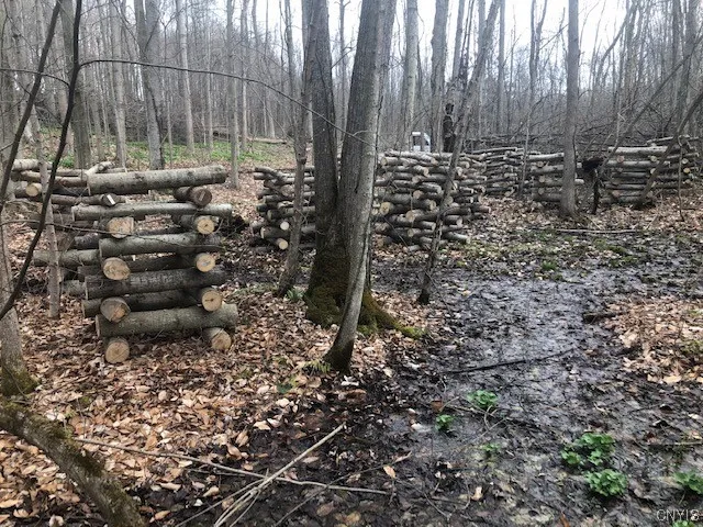 $985,000 | 0 Norris & Rt 104 Road, North Rose, NY 14516