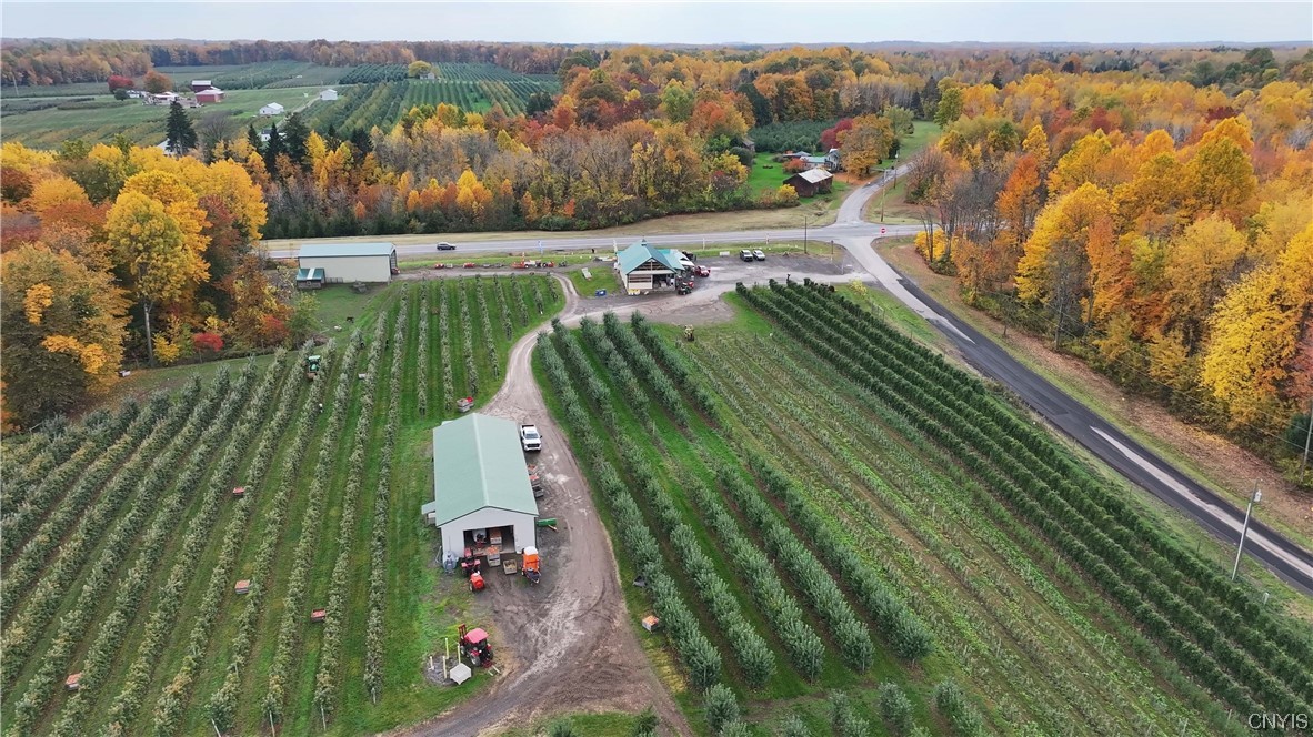 0 Norris & Rt 104 Road North Rose, NY 14516 - Photo 24 of 35