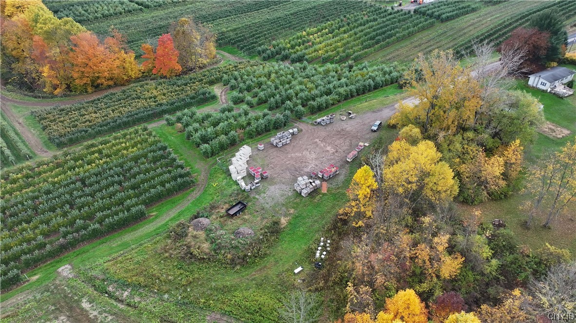 0 Norris & Rt 104 Road North Rose, NY 14516 - Photo 29 of 35