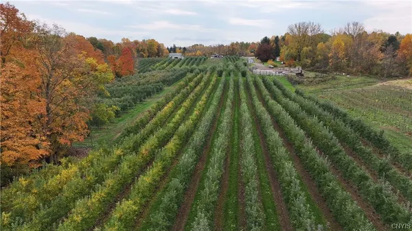 $985,000 | 0 Norris & Rt 104 Road, North Rose, NY 14516