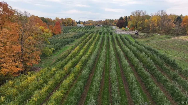 $985,000 | 0 Norris & Rt 104 Road, North Rose, NY 14516