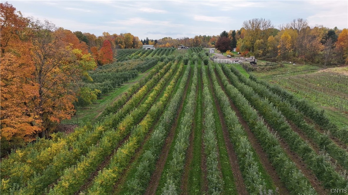 0 Norris & Rt 104 Road North Rose, NY 14516 - Photo 34 of 35