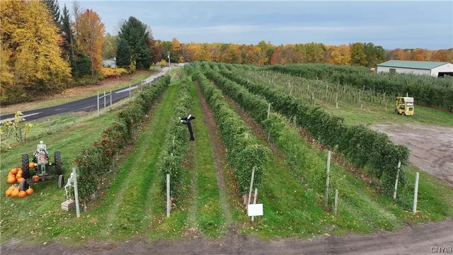 $985,000 | 0 Norris & Rt 104 Road, North Rose, NY 14516