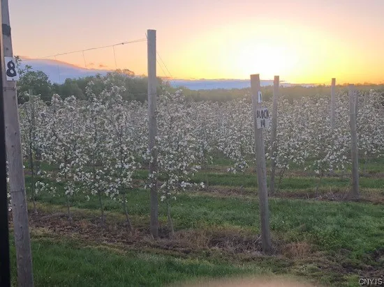 $985,000 | 0 Norris & Rt 104 Road, North Rose, NY 14516