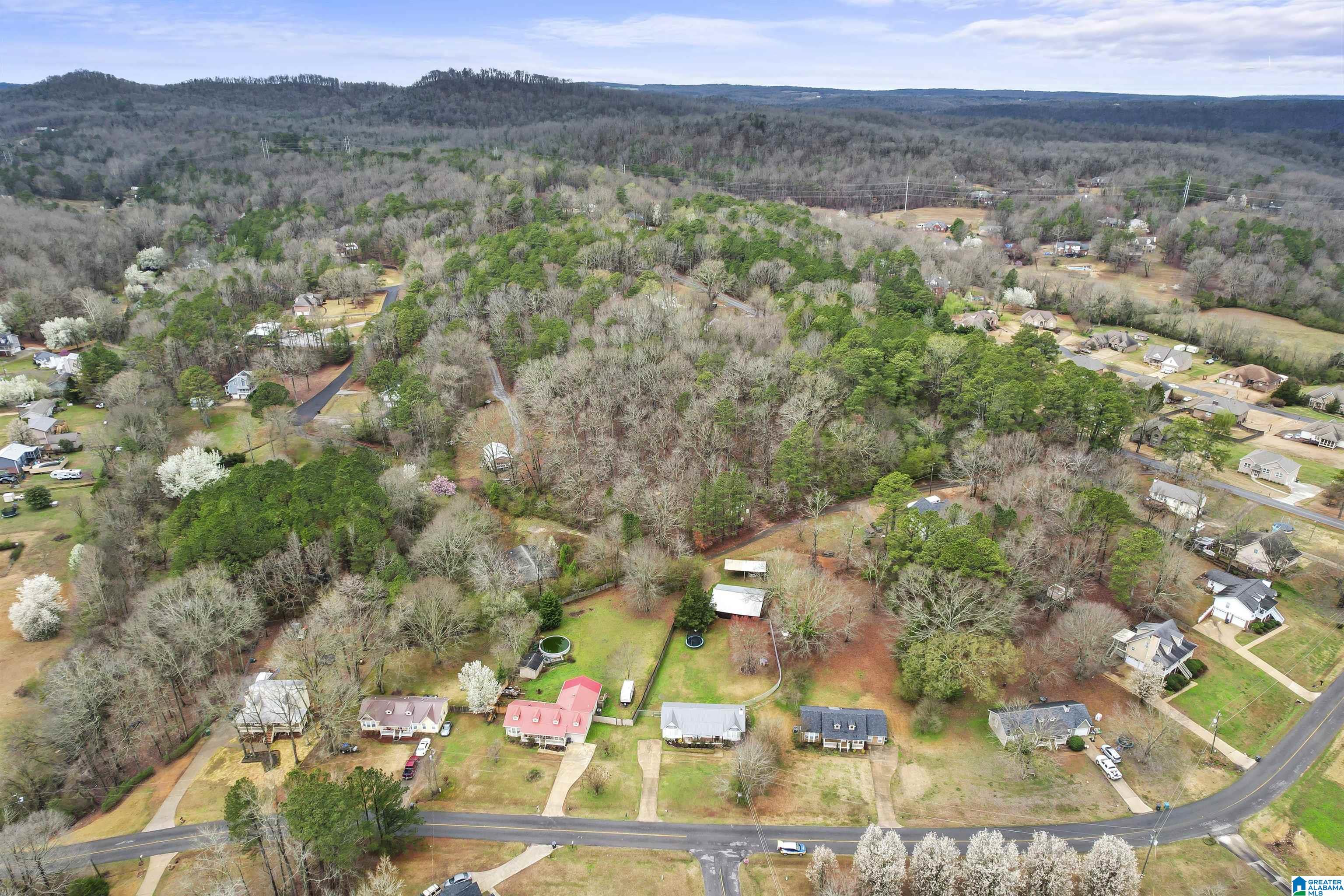 180 Crawford Drive Springville, AL 35146 - Photo 31 of 37