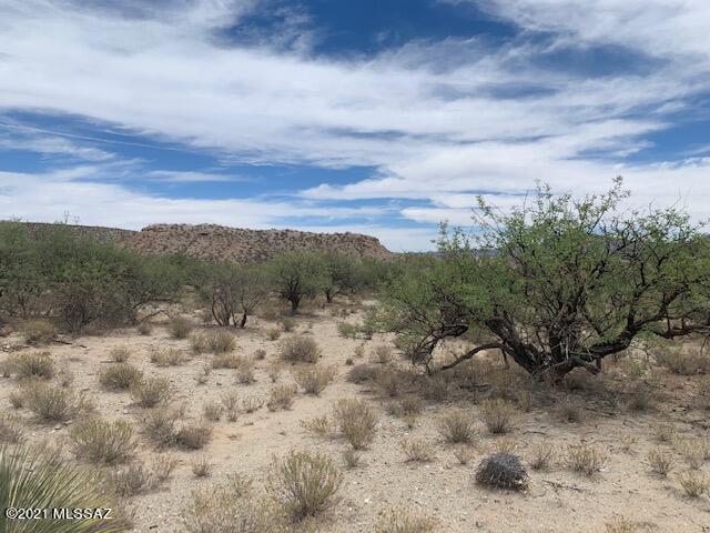 Ocotillo Road Benson, AZ 85602 - Photo 1 of 20 Gallery Image 1