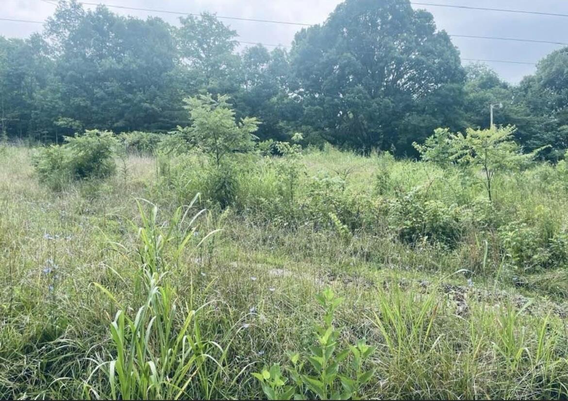 141 Edwards Road Somerset, KY 42501 - Photo 2 of 3 9B859C1F-C278-47AC-9E41-7FBC3AD12D4B