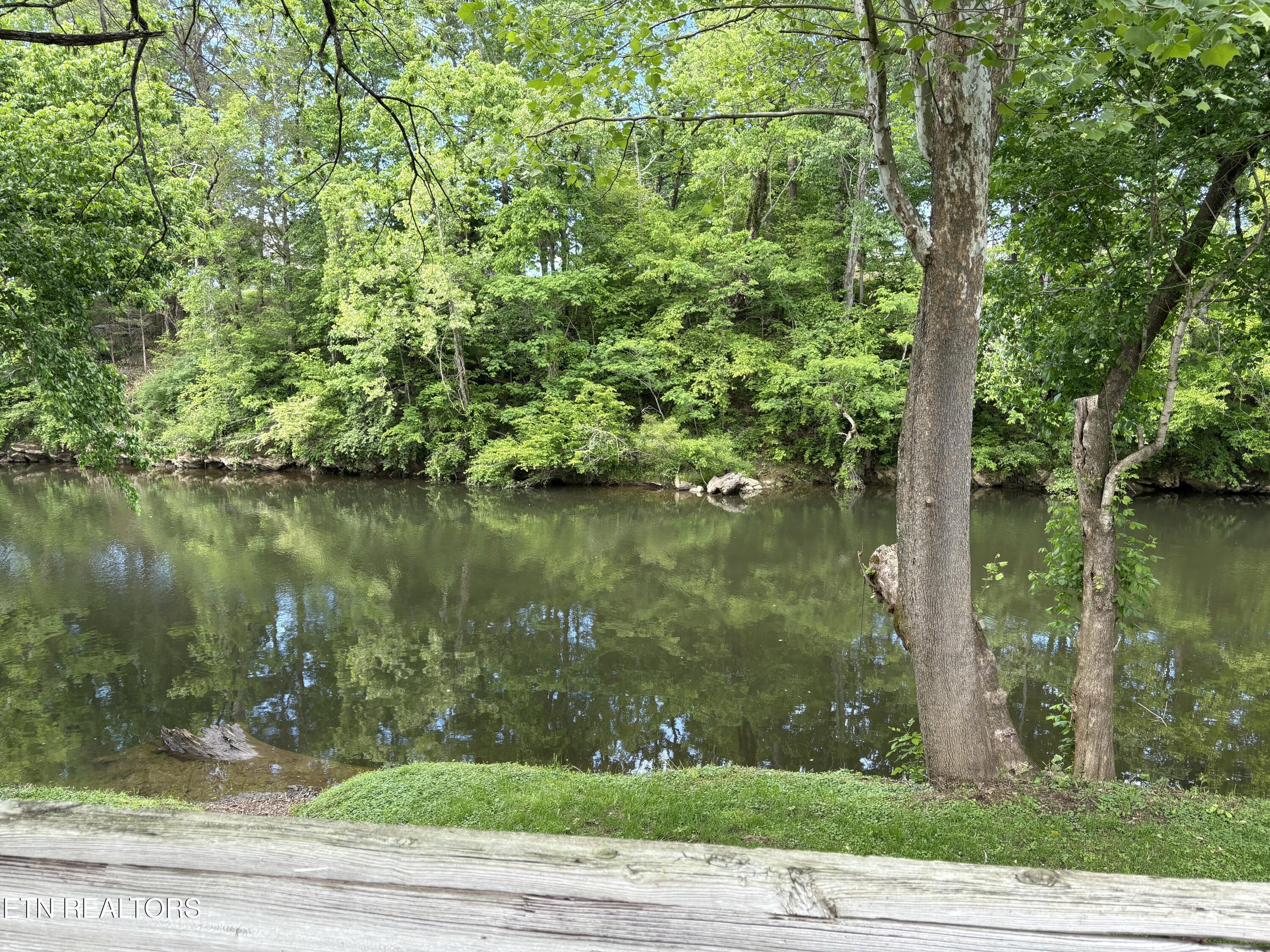 105 Poplar Grove Road Maryville, TN 37804 - Photo 17 of 23 IMG_2041
