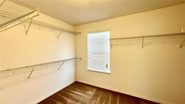 $2,400 | 3721 Maidencain Street, Clermont, FL 34714